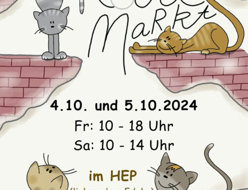 Unser Trödel-Wochenende im HEP ☀️🛍️🐱