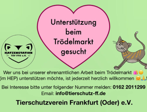 ehrenamtliche Unterstützung beim Trödelmarkt gesucht 🔍