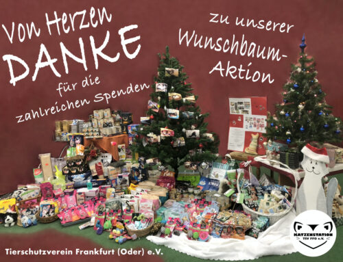 🎄✨ Unser Wunschbaum – gemeinsam Freude schenken! ✨🎄