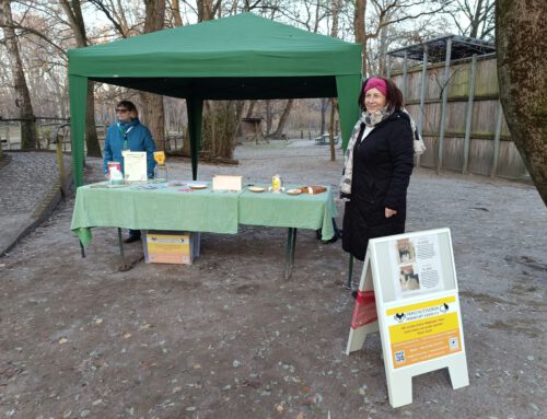 Öffentlichkeit-Arbeit TSV