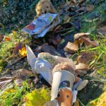 Halloween mit Thema Igel