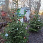 mäwa weihnachtsbaum tierfreundlich schmücken
