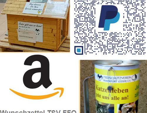 Spenden – Möglichkeiten