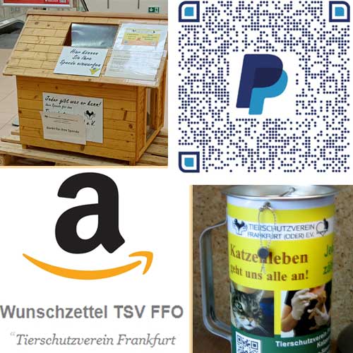 Spenden-an-Tierschutz