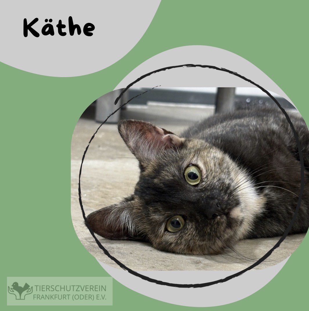 Käthe sucht ein neues Zuhause